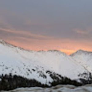 Meet your Posher, Chip